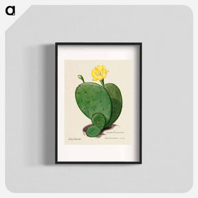 アートポスター-Indian Fig Opuntia
 - サボテン科 Poster.