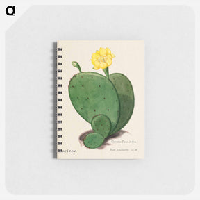 アートメモ帳-Indian Fig Opuntia
 - サボテン科 Memo.