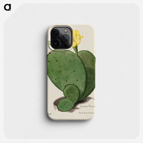 1-4_Familie-der-Cacteen_phone