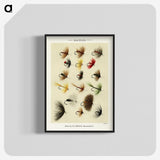 1-4_Favorite-Flies-and-Their-History_blk-crop