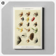 1-4_Favorite-Flies-and-Their-History_canvas