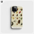 1-4_Favorite-Flies-and-Their-History_phone