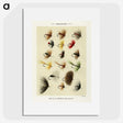 1-4_Favorite-Flies-and-Their-History_picture