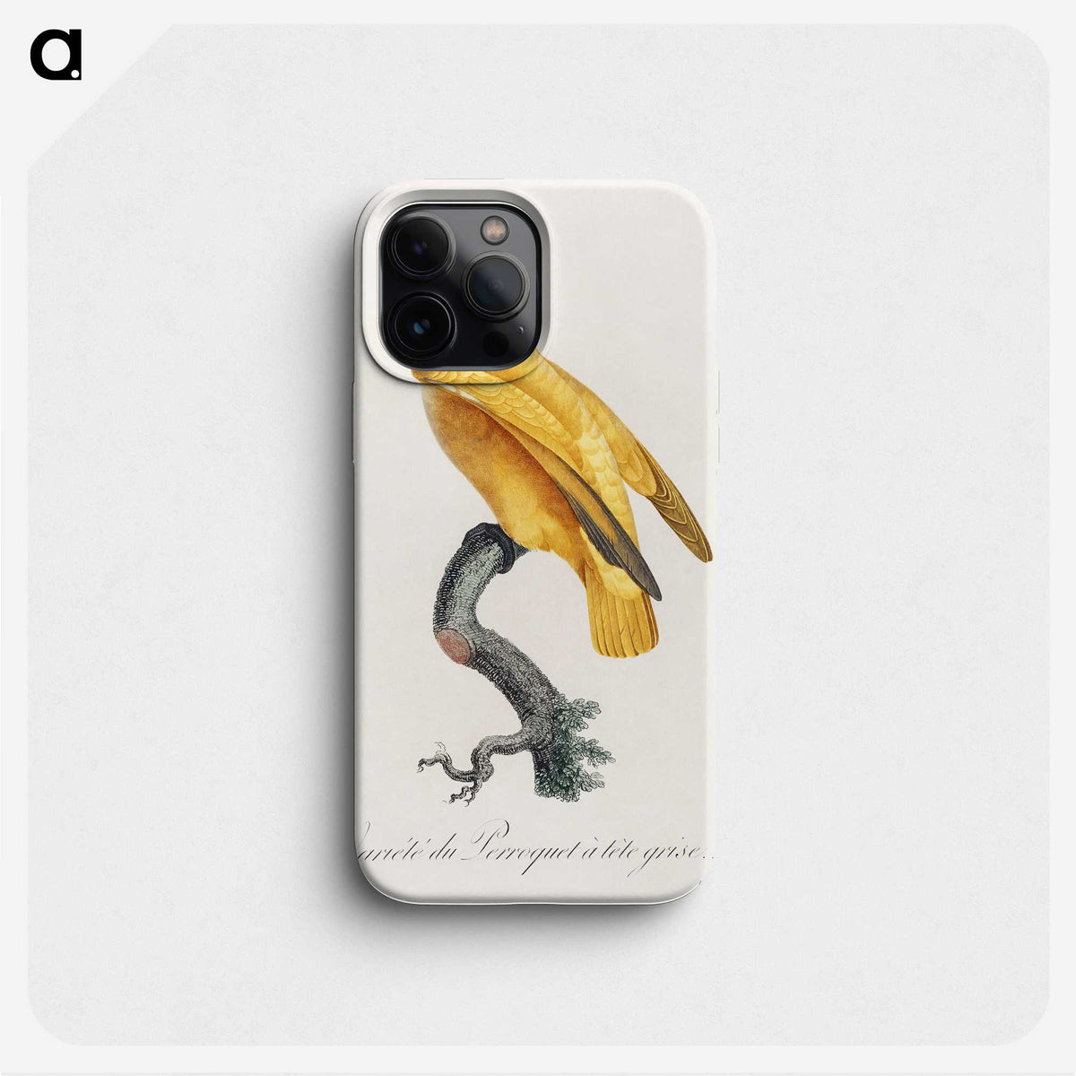 1-4_Francois-Levaillant_phone