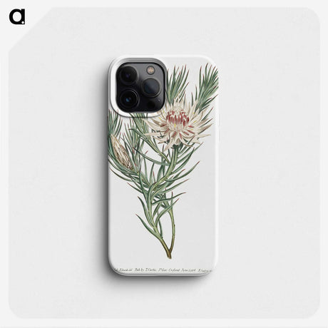 1-4_Fransis-Sansom_phone