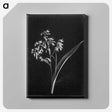 1-4_Frederick-Charles-Brockett_canvas