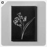 1-4_Frederick-Charles-Brockett_canvas