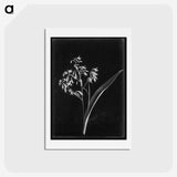 1-4_Frederick-Charles-Brockett_hagaki
