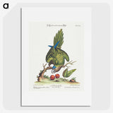 1-4_George-Edwards_picture