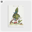 1-4_George-Edwards_postcard