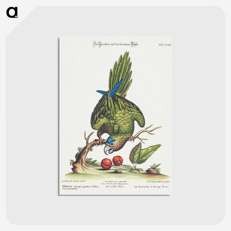 1-4_George-Edwards_postcard