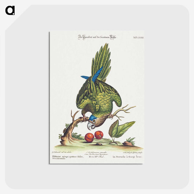 1-4_George-Edwards_postcard
