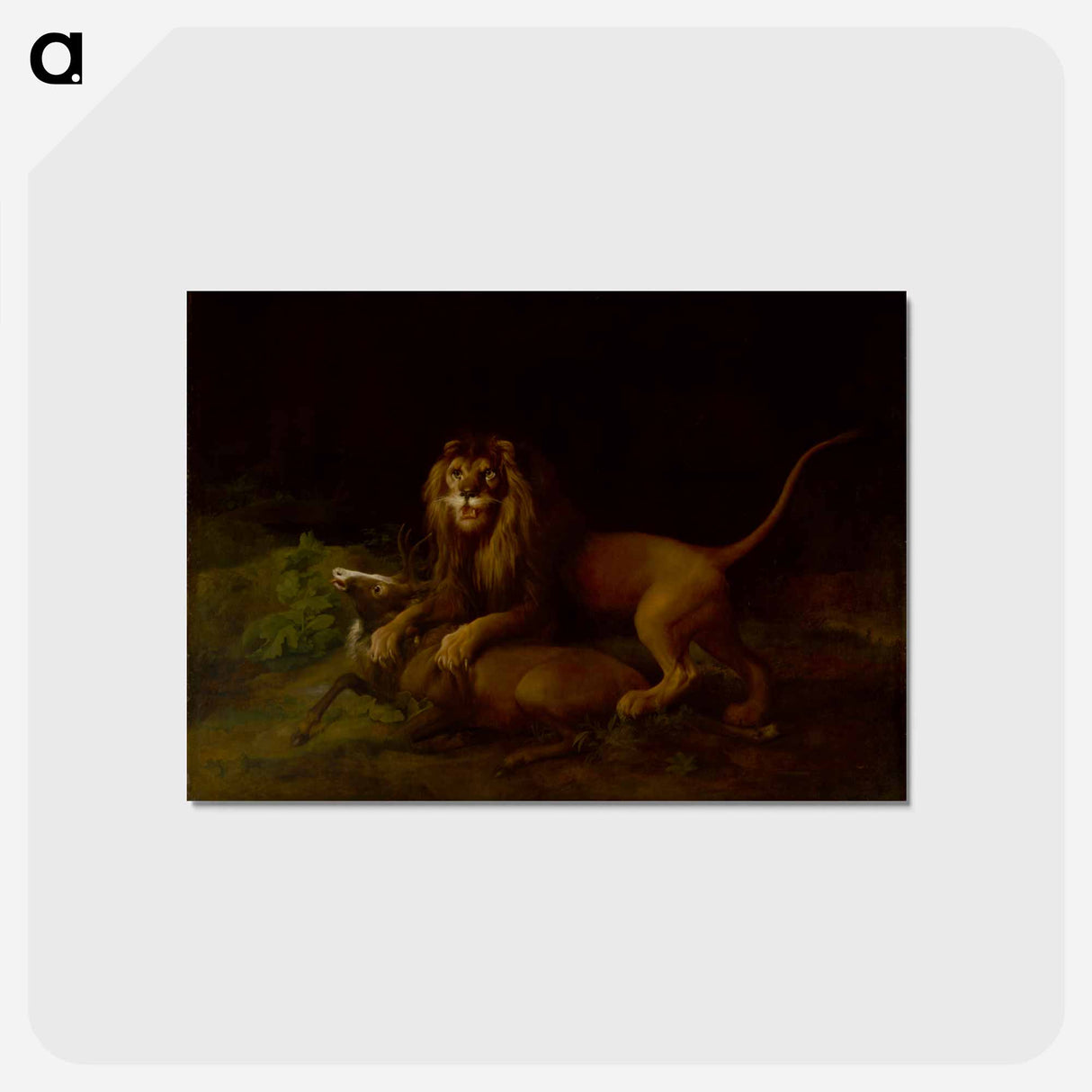 アートポストカード-A Lion Attacking a Stag
 - ジョージ スタッブス Postcard.