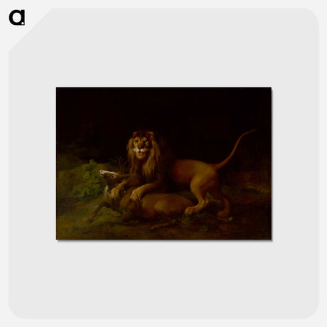 アートポストカード-A Lion Attacking a Stag
 - ジョージ スタッブス Postcard.