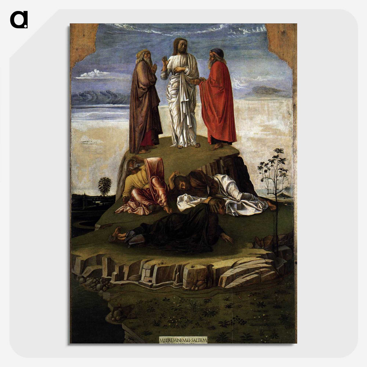 1-4_Giovanni-Bellini_picture-crop