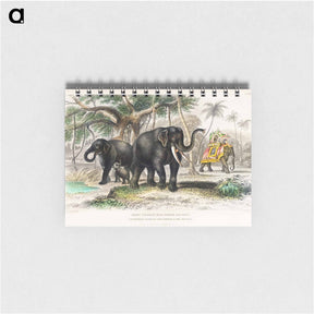 アートメモ帳-Asiatic Elephant and Caparisoned Elephant
 - ゴールドスミスの生き生きとした自然 Memo.