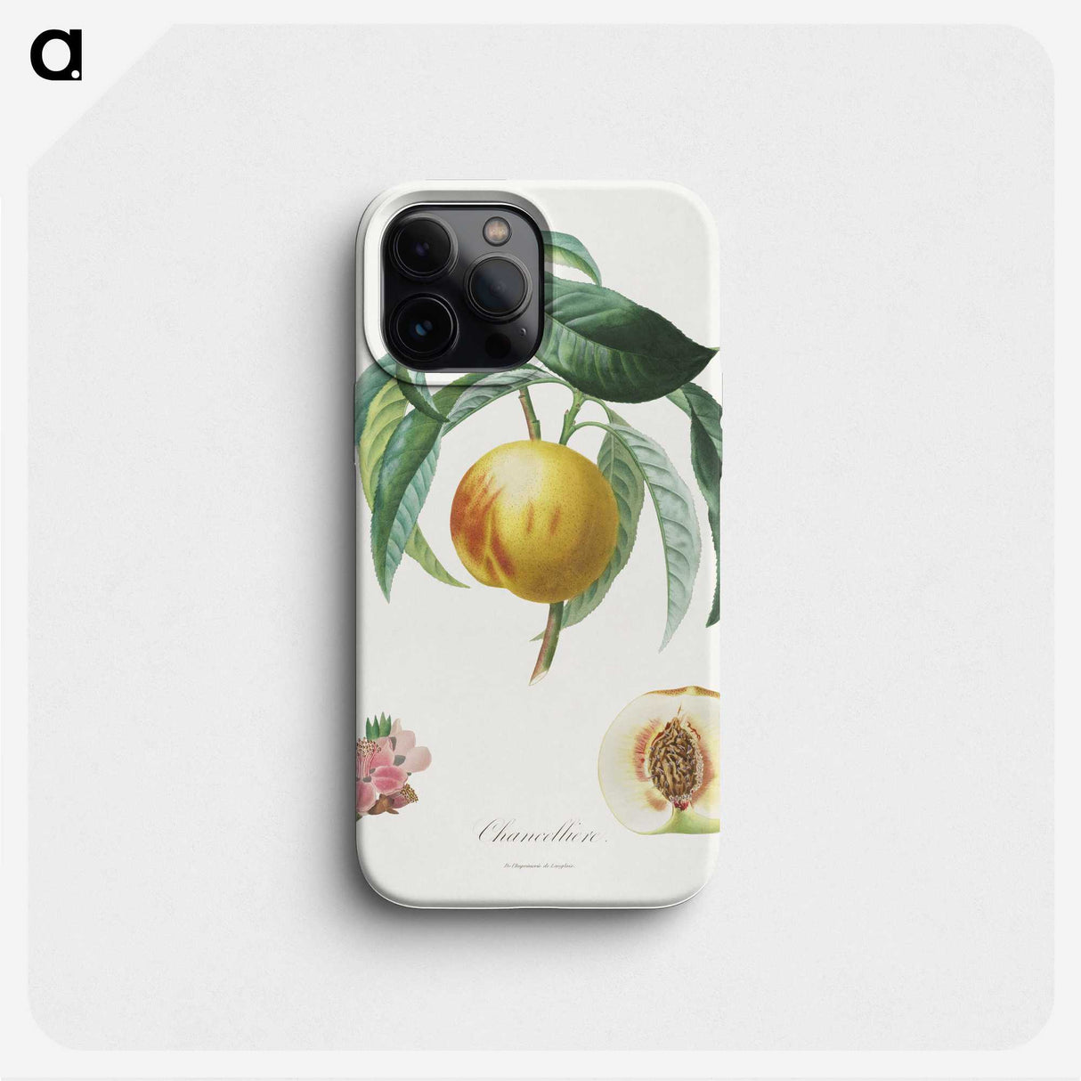 1-4_Henri-Louis-Duhamel-du-Monceau_phone