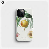 1-4_Henri-Louis-Duhamel-du-Monceau_phone