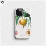 Traité des arbres fruitiers: Chancellière - アンリ ルイ デュアメル デュ モンソー Phone Case.
