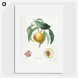 1-4_Henri-Louis-Duhamel-du-Monceau_picture