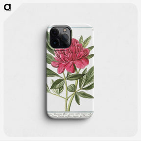 1-4_Hortus-Romanus-Botanical-Plates_phone