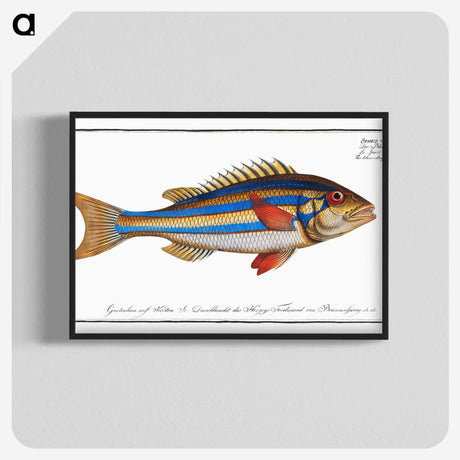 1-4_Ichtyologie-ou-Histoire-naturelle_blk-crop