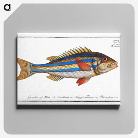 1-4_Ichtyologie-ou-Histoire-naturelle_canvas