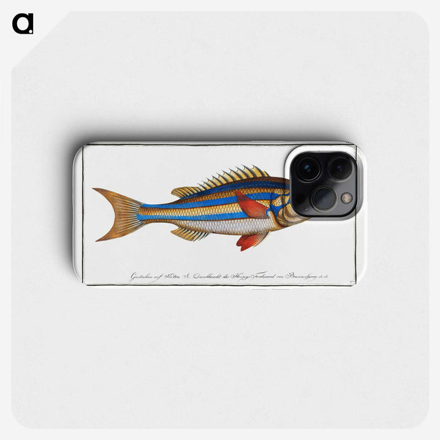 1-4_Ichtyologie-ou-Histoire-naturelle_phone