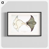 1-4_Indian-Zoology_blk
