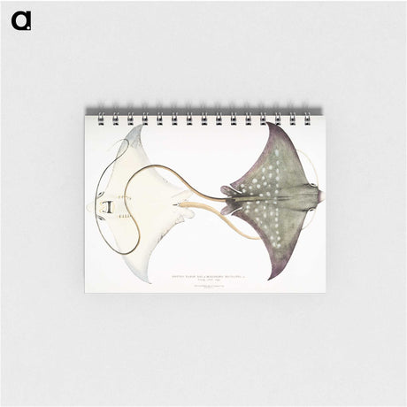 1-4_Indian-Zoology_memo