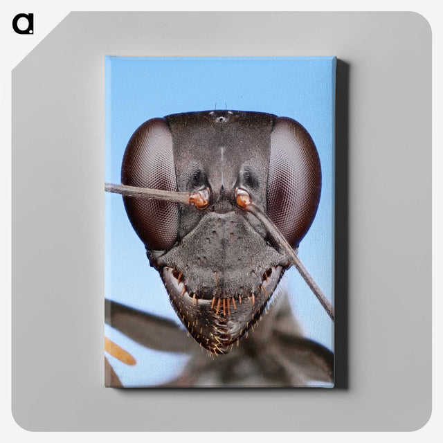 1-4_Insects-Unlocked-Project_canvas