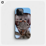 1-4_Insects-Unlocked-Project_phone
