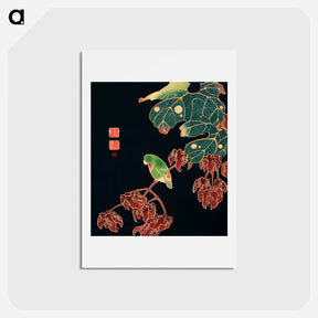 アートポストカード-The Paroquet
 - 伊藤若冲 Postcard.