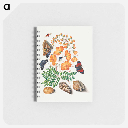 Blackburne's Natural History Cabinet
 - ジェームズ ボルトン Memo.