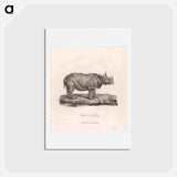 アートポストカード-Rhinoceros of Africa
 - ジェームス ヒース Postcard.