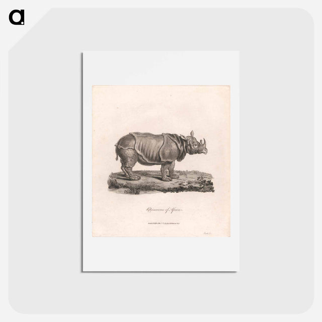 アートポストカード-Rhinoceros of Africa
 - ジェームス ヒース Postcard.