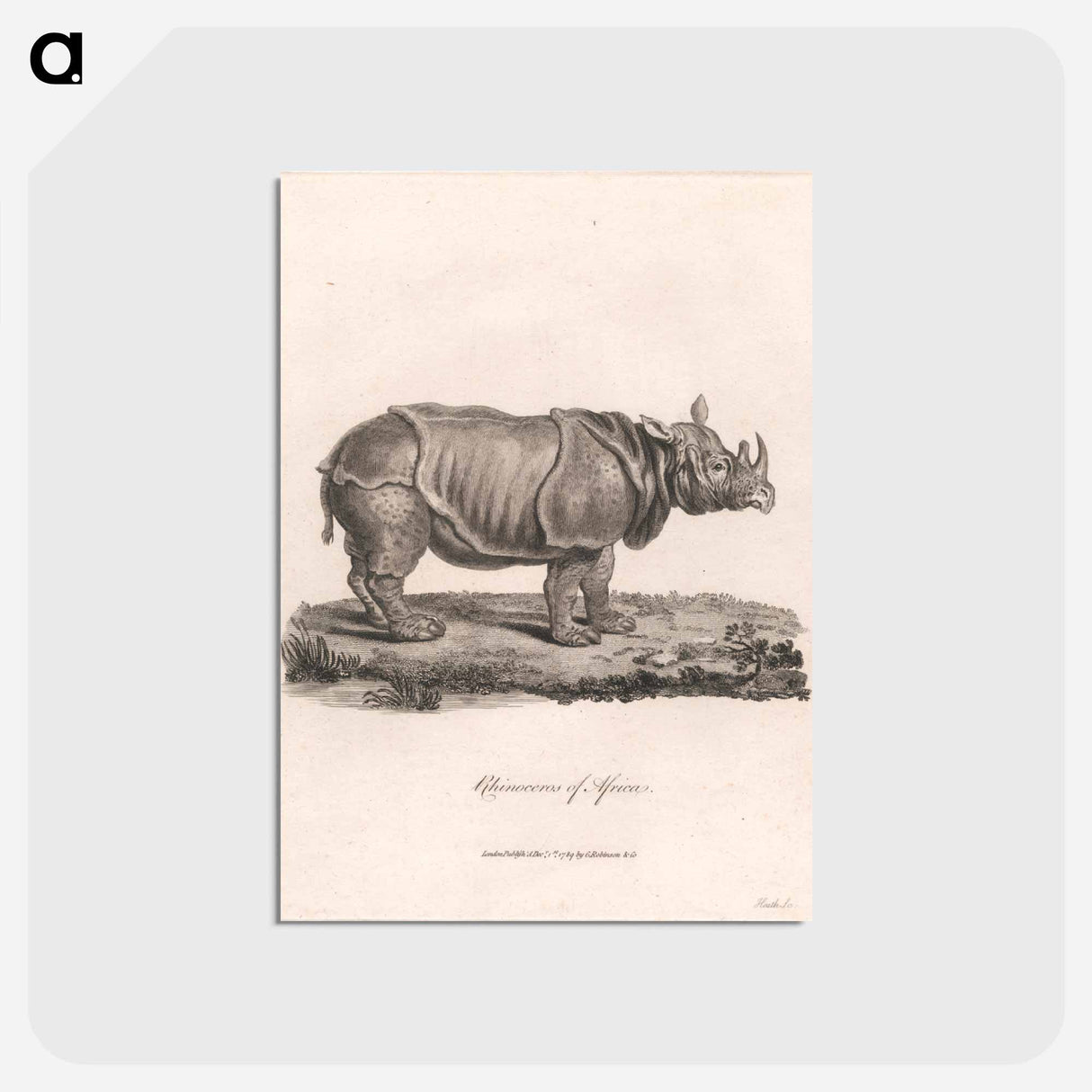 アートポストカード-Rhinoceros of Africa
 - ジェームス ヒース Postcard.