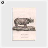 アートポストカード-Rhinoceros of Africa
 - ジェームス ヒース Postcard.
