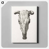 アートパネル-Skull of a cow - ジャン ベルナール Canvas.