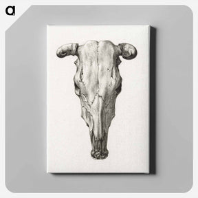 アートパネル-Skull of a cow - ジャン ベルナール Canvas.