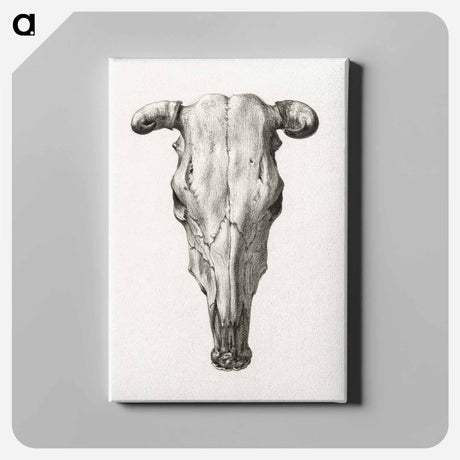 アートパネル-Skull of a cow - ジャン ベルナール Canvas.