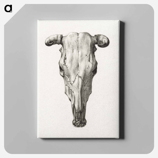 アートパネル-Skull of a cow - ジャン ベルナール Canvas.