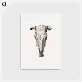アートポストカード-Skull of a cow - ジャン ベルナール Postcard.