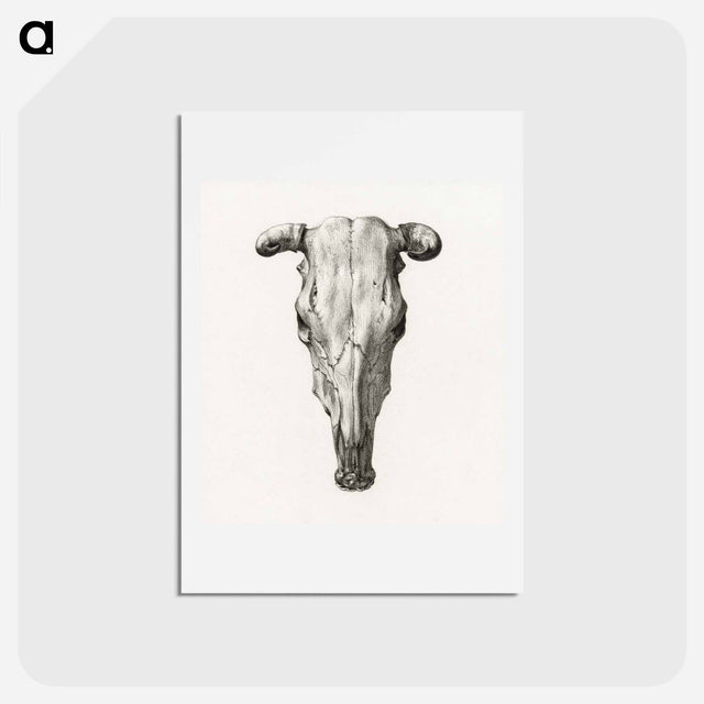 アートポストカード-Skull of a cow - ジャン ベルナール Postcard.