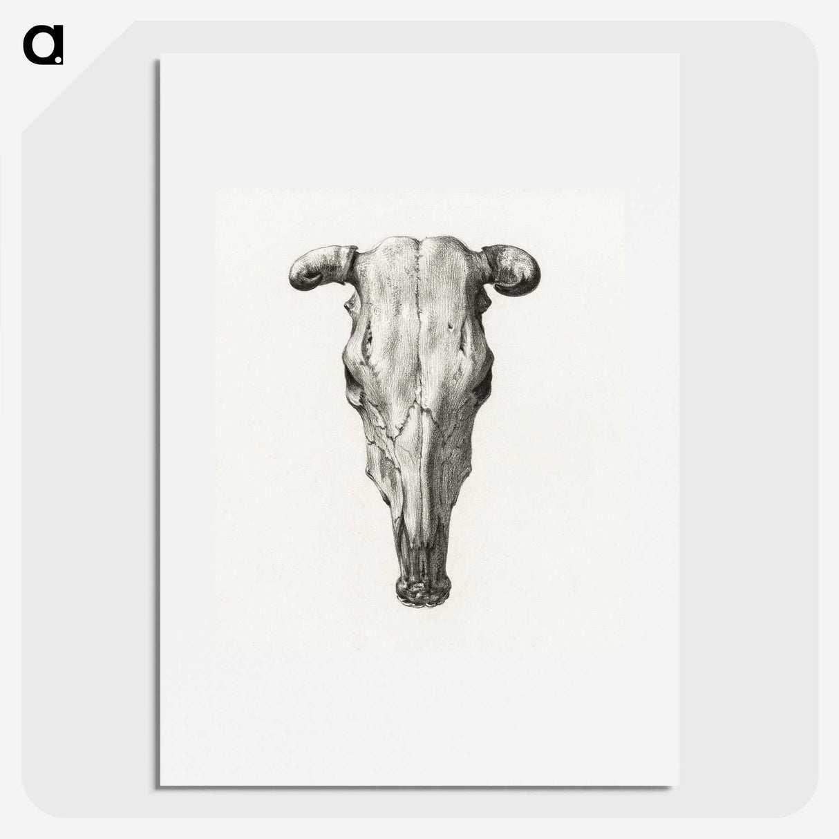 1-4_Jean-Bernard_picture