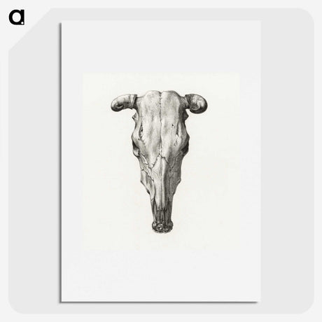 1-4_Jean-Bernard_picture