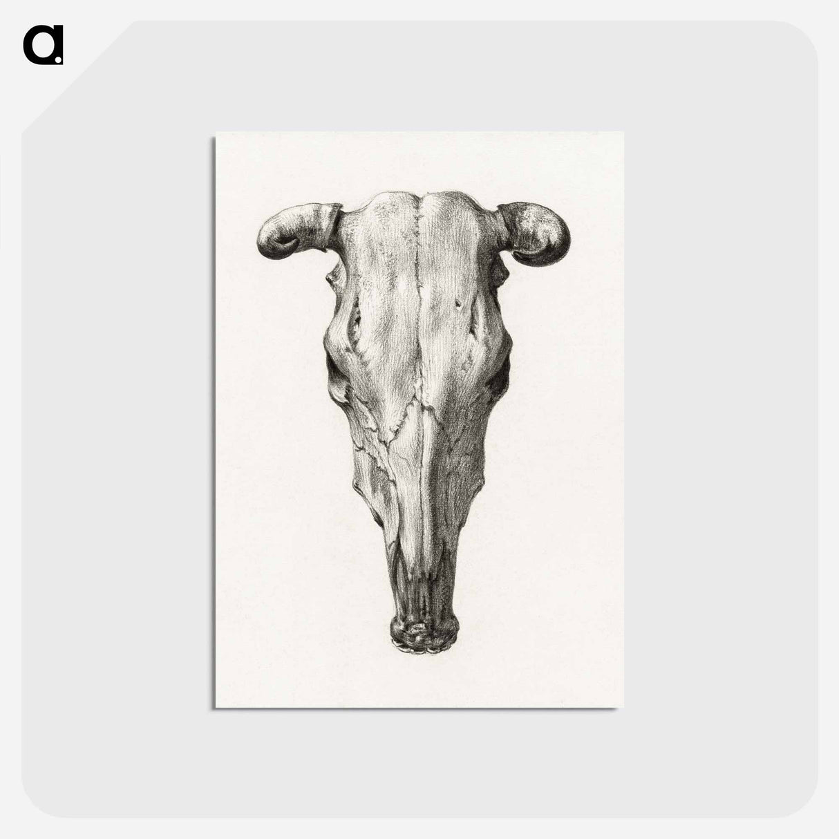 アートポストカード-Skull of a cow - ジャン ベルナール Postcard.
