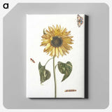 1-4_Johan-Teyler_canvas