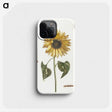 1-4_Johan-Teyler_phone