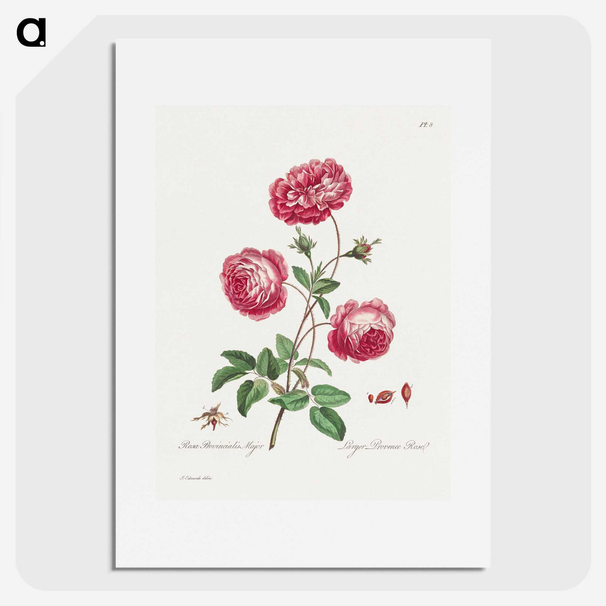 1-4_John-Edwards_picture